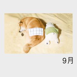 11サムネイル