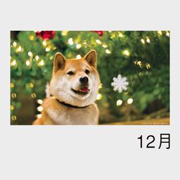 13サムネイル