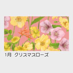 03サムネイル