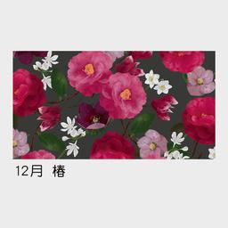 07サムネイル