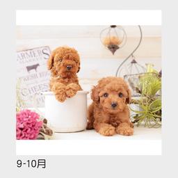 06サムネイル