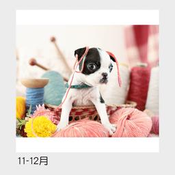 07サムネイル