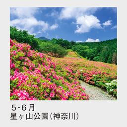 04サムネイル