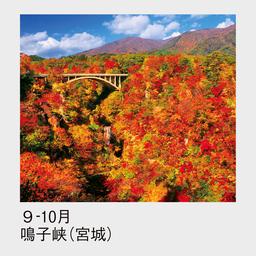 06サムネイル