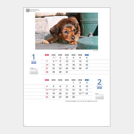 ワンワンカレンダー（犬７枚）