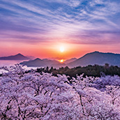 風景