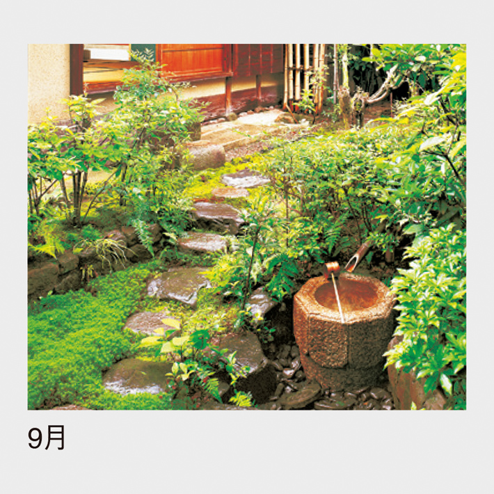09