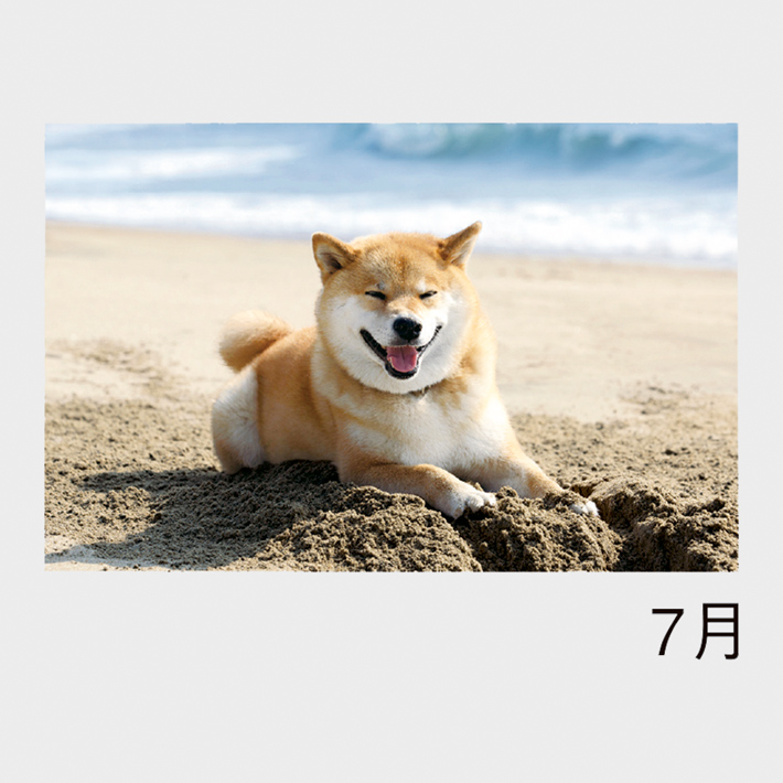 07