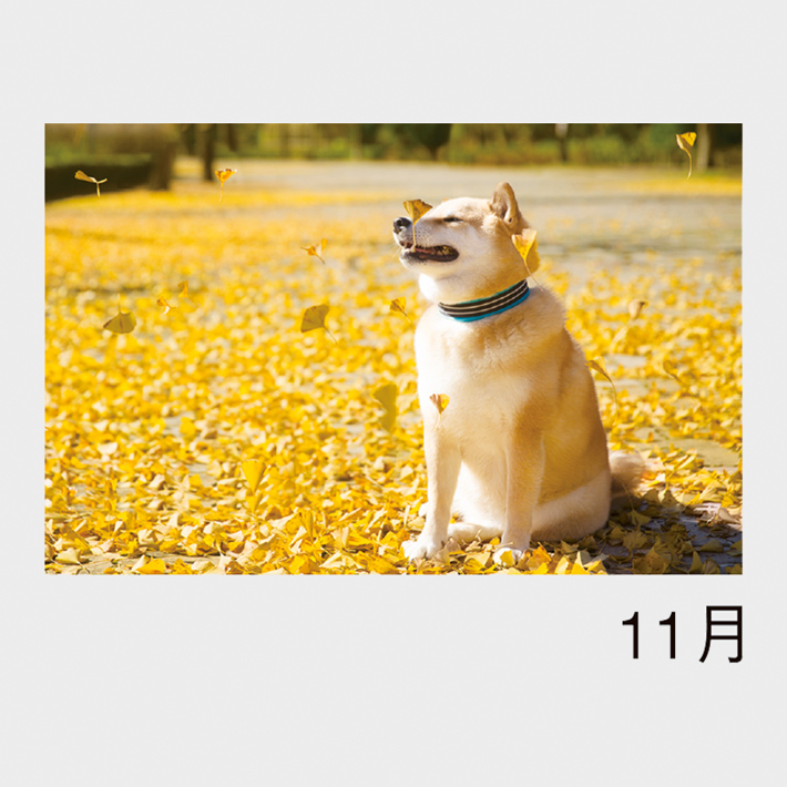 11