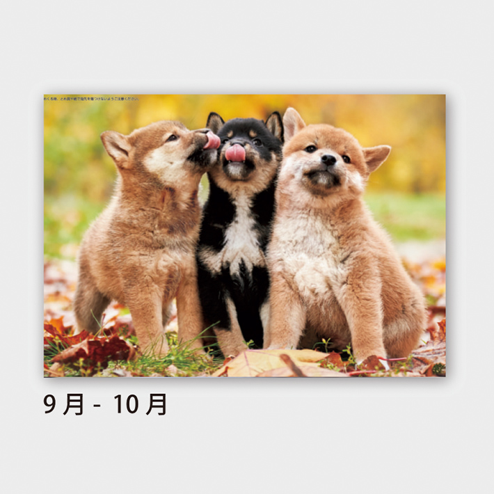 05